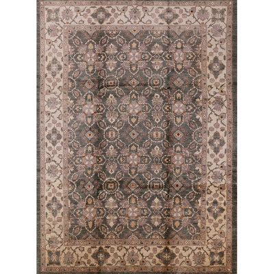 Draper Oriental Indoor Rug