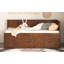 Lit de jour avec tiroirs et tablettes-869492105-869492104