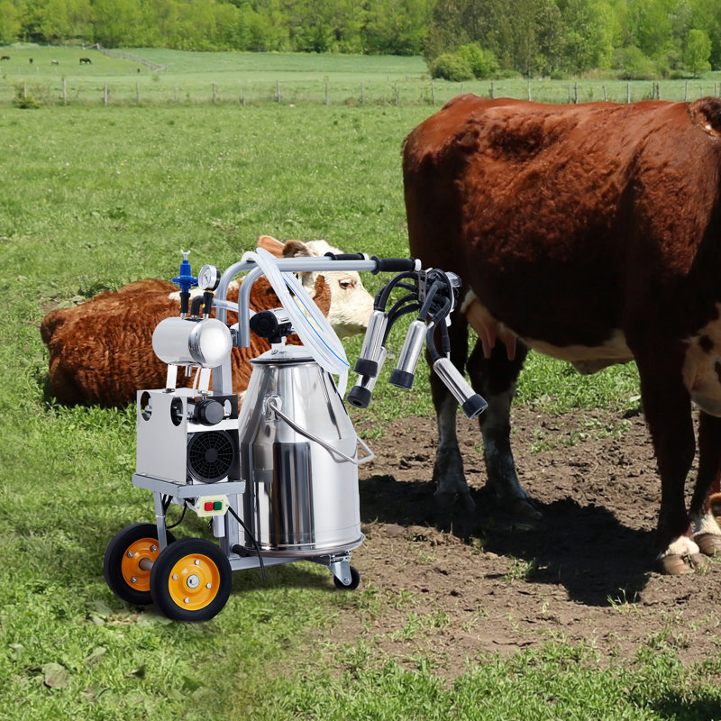 Machine à traire électrique portative de 25 L pour vaches, avec seau en acier inoxydable 304 et système de pulsation sous vide automatique.