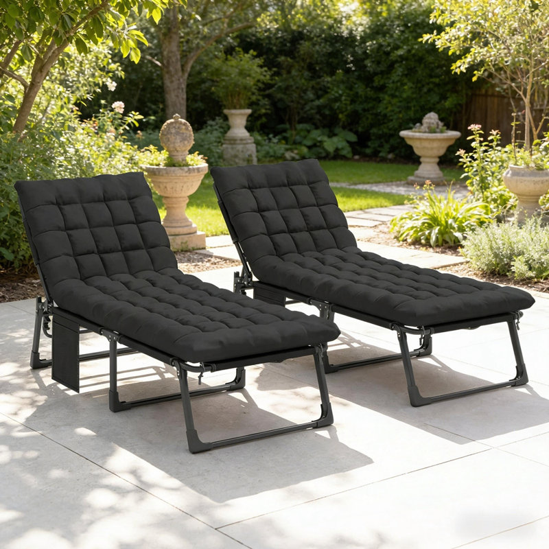 Cozy Recliner Chair,Outdoor Lounge Chair, Black, 2