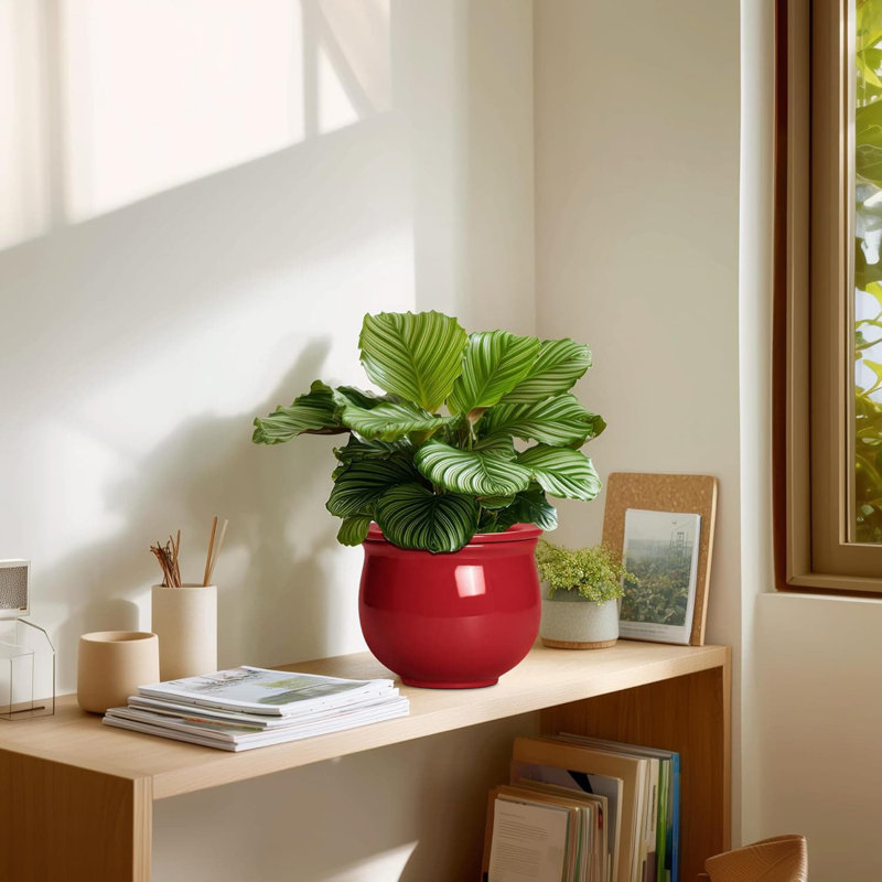 Pot Planter, Red
