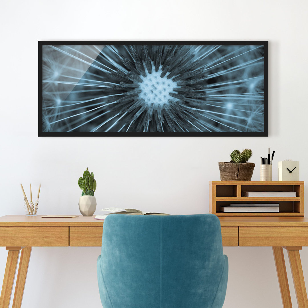 Gerahmtes Poster Blue Tinted Dandelion