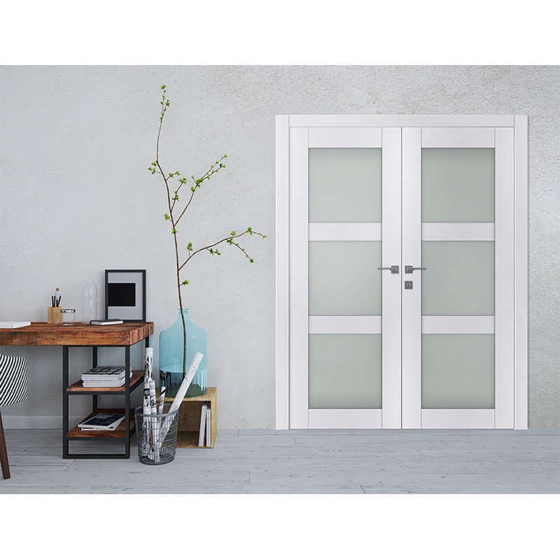 Double porte pré-suspendue à panneau de verre givré Smart Lite, 48 po x 80 po, Gauche
