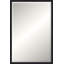 Kempton Solid Wood Beveled Mirror-496910101-496910098