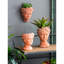 Pot à fleurs brun en ciment-270957829