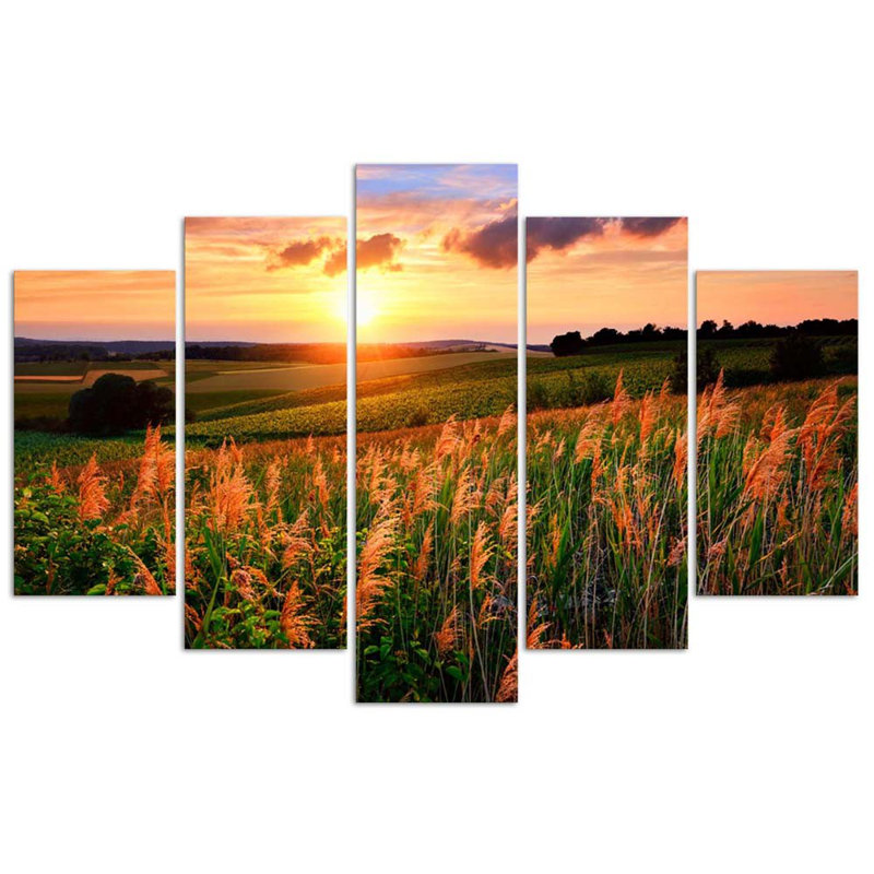 Sunset Flowers Meadow - 5 Piece No Frame Set on Canvas