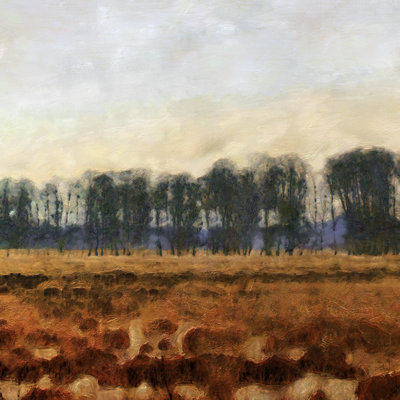 «Lekecia Tranquil Gathering II» sur toile par Alonzo Saunders