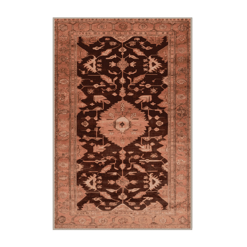 Machine Washable Overdyed Brown Area Rug
