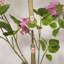 Bougainvillée artificiel