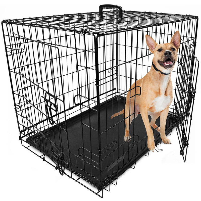 Scribner Metal Collapsible Pet Crate with 2 Doors