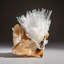 Scolecite on Stilbite from Nasik District, Maharashtra, India (269.4 Grams)