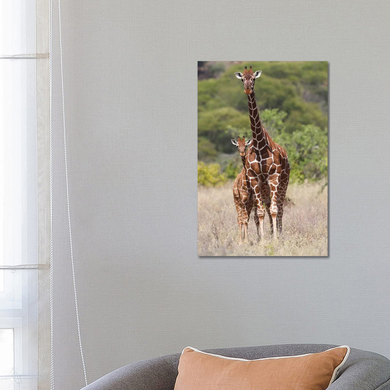 Reticulated Giraffe by Elmar Weiss - Wrapped Canvas Print, 66.04 cm H x 45.72 cm W