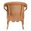 Dining Chair(Only Dining Chairs)