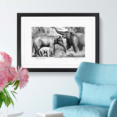 Asian Elephants by John Karst - Framed Print