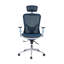 Fauteuil président ergonomique Ambarvale