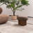 Medelyn Upholstered Ottoman-719264969-719265078