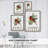 Winter Visitor Collection B Framed Print - Solid Wood-1585369202