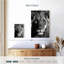 Tête de lion monochromatique Brampt-108229306