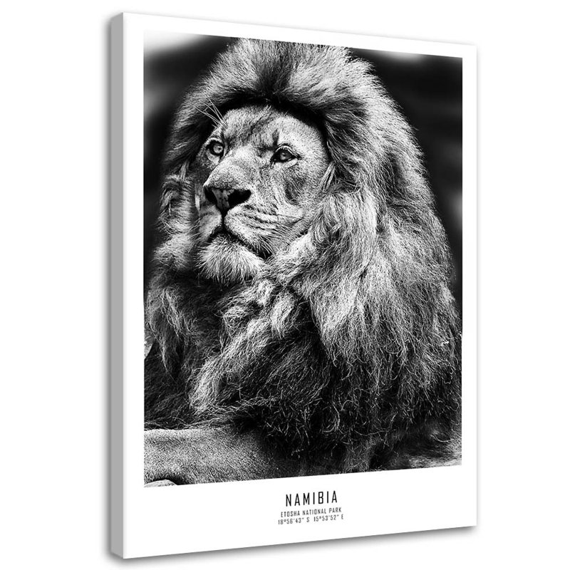 Lion Africa - No Frame Print on Canvas, 120cm H x 80cm W