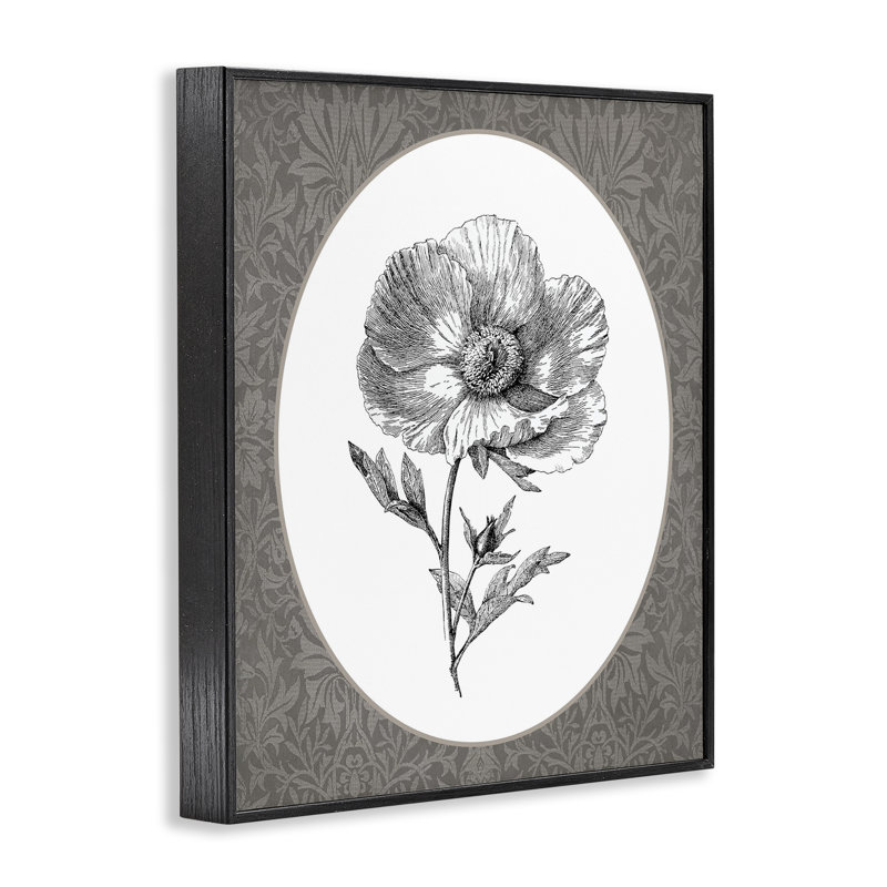 Anemone Sprig Vignette, estampe numérique encadrée, Giclée encadrée noir minuit, H 14 po x l 11 po