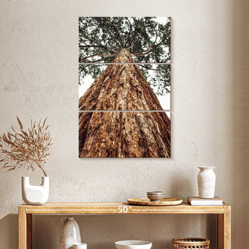 Harnek Sierra Redwood, 38" H x 24" W