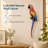 Hanging Scarlet Macaw Garden Statue