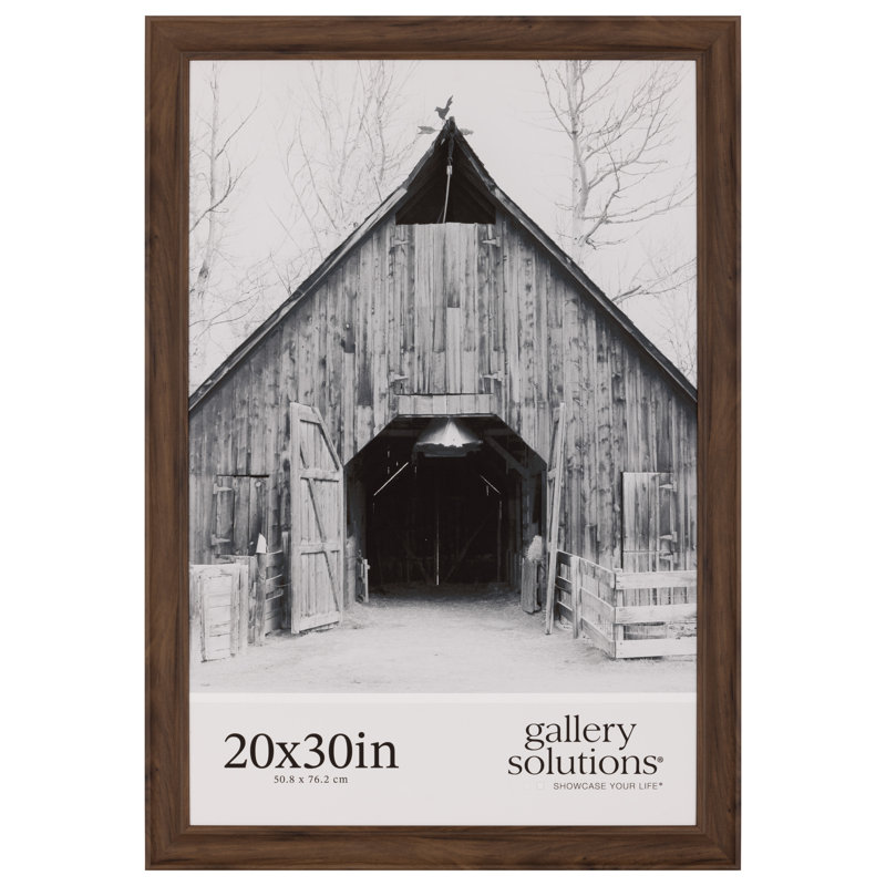 Grand cadre photo Gallery Solutions, Brun, 20 po x 30 po