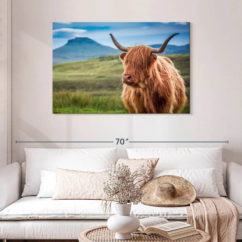 Vache Highland Brampt, H 26 po x l 39 po