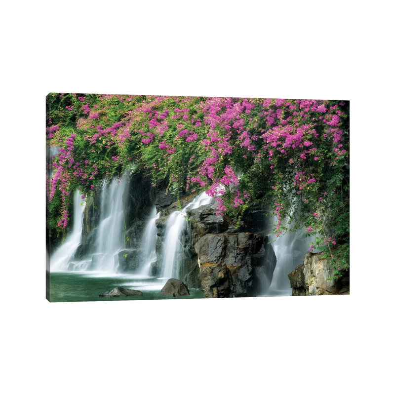 Floral Falls II by Dennis Frates - Print on Canvas, 20.32cm H x 30.48cm W x 1.91cm D, Wrapped Canvas