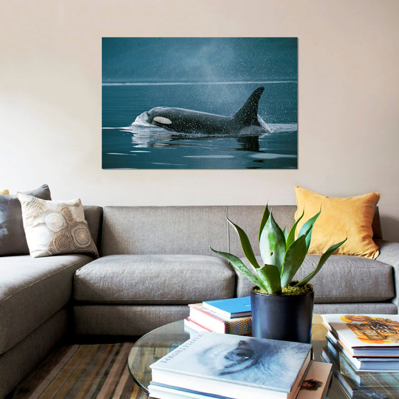 « orca, johnstone, détroit, colombie britannique, canada », reproduction de photo sur toile, H 18 po x l 26 po x P 1,5 po