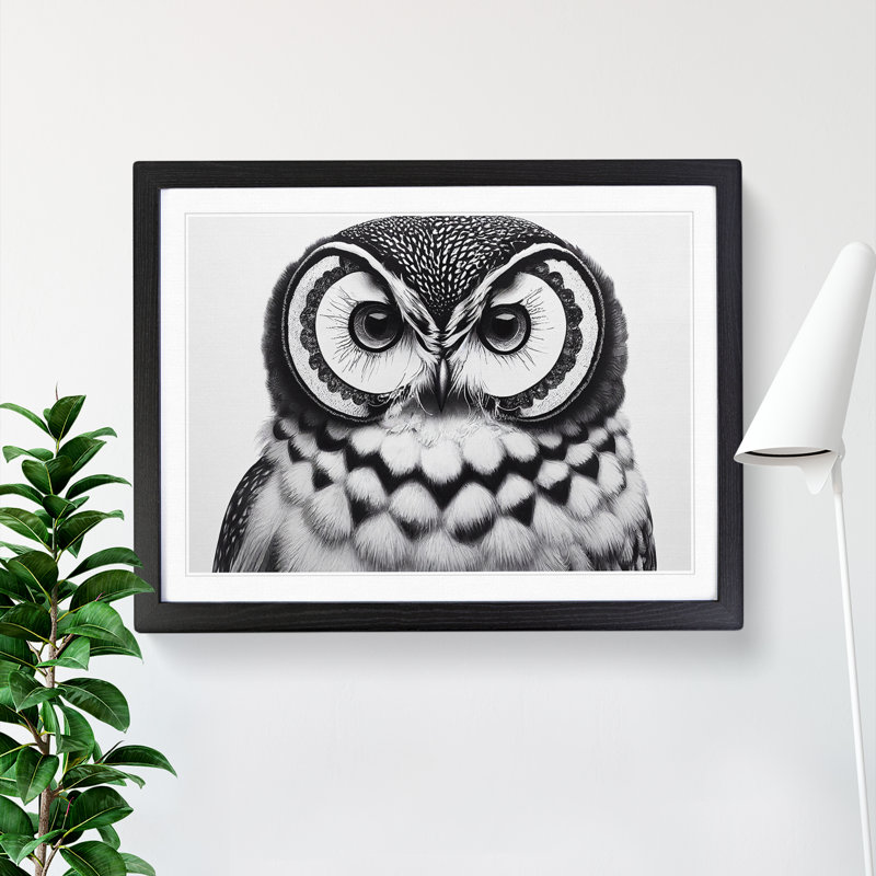 XH1022-9500X Unreal Owl - Single Picture Frame Print, 25cm H x 34cm W x 2cm D, Black Framed