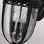 Thynes 3 - Bulb Seeded Glass Outdoor Wall Lantern-14715344-14715341