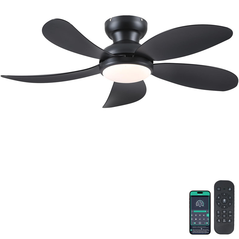 Low Profile 42'' 5- Blade Indoor Flush Mount Ceiling Fan With Led Light, Dc Motor And Remote Control, Black