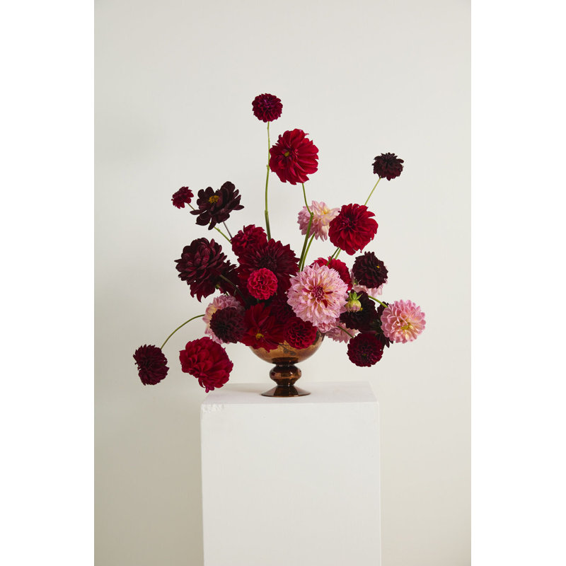Compote Naomi 7 po x 5,75 po