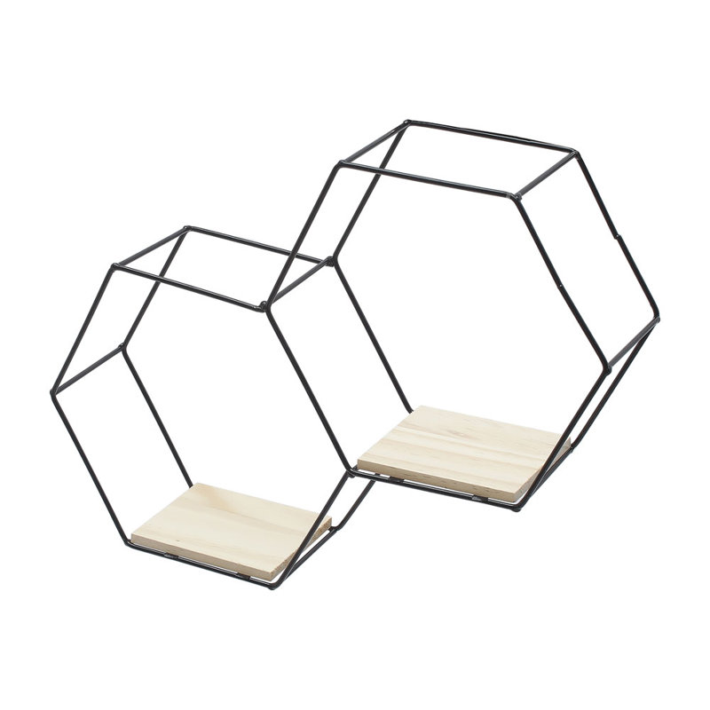 Luchia 2 Piece Hexagon Tiered Shelf