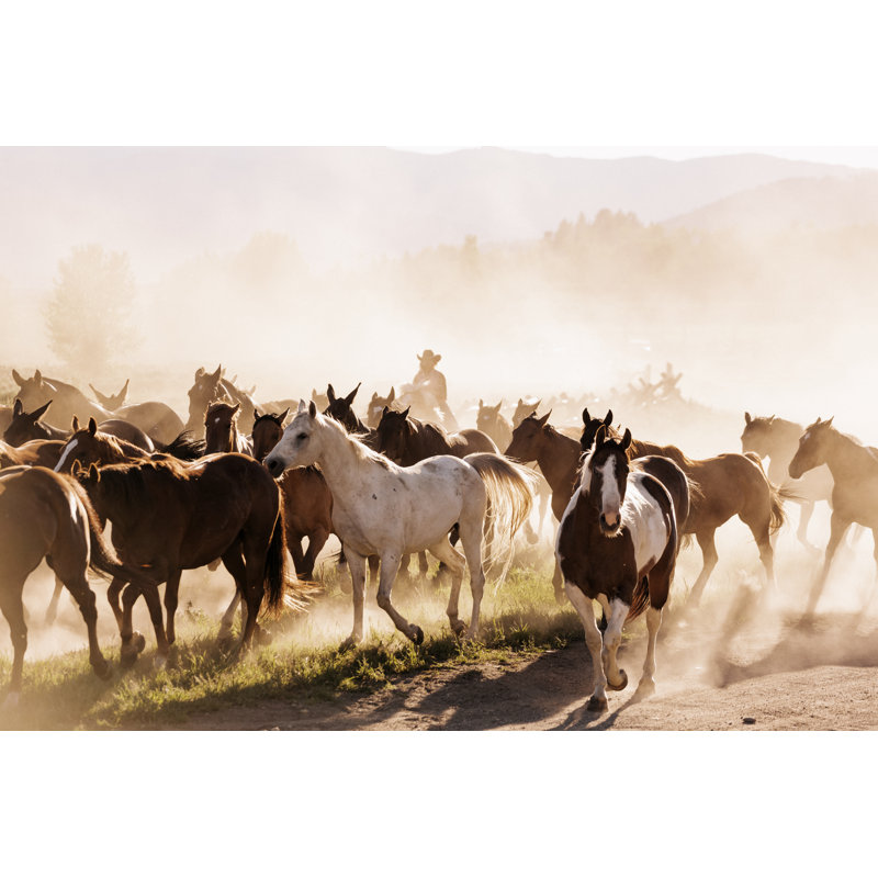 Yellowstone Wrangler by Urbancow - No Frame Art Prints on Canvas, 61cm H x 91cm W