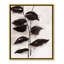 Leaves I by Eva Watts-70184002-70184046