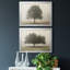 Trees In The Fog I - ensemble de 2 reproductions de cadres photo-1789707700-1789707701