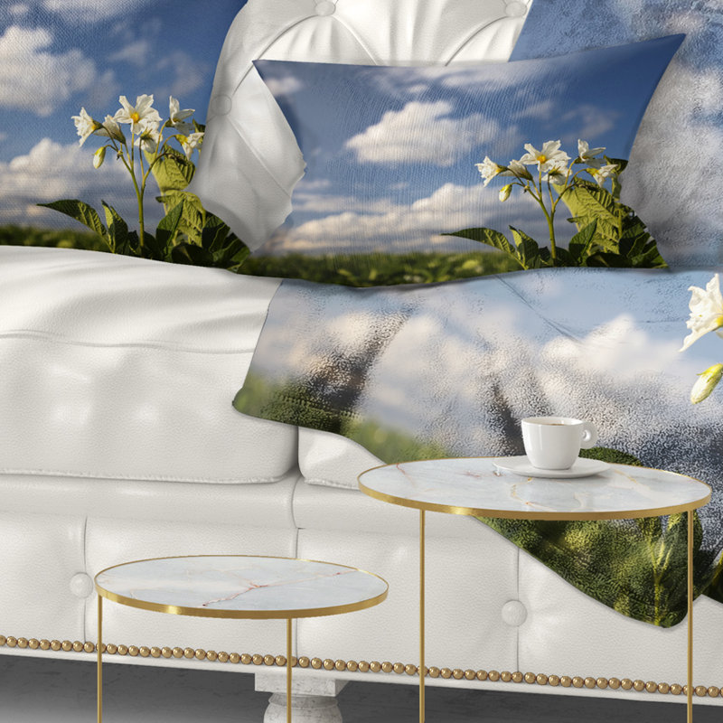Coussin à fleurs et pommes de terre