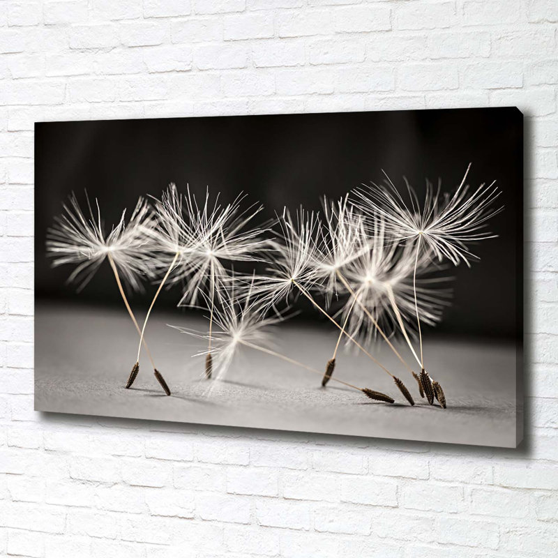 Dandelion Seeds - Wrapped Canvas Print
