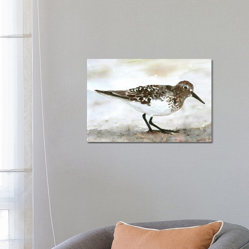 Sandpiper I by Stellar Design Studio - Painting on Canvas, Wrapped Canvas, 101.6 cm H x 66.04 cm W x 3.175 cm D