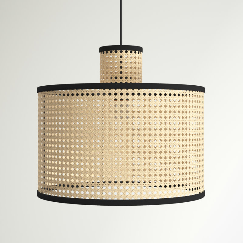 Luminaire suspendu bohème en rotin et velours à 1 lumière Nakuv, H 53,78 po x l 15,75 po x P 15,75 po