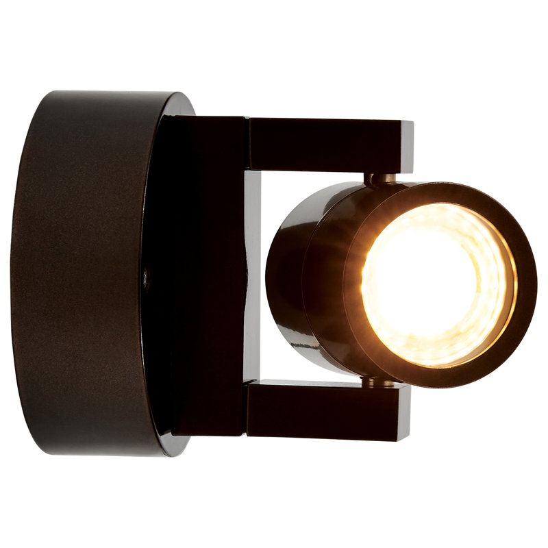 Bronze 4-Inch Adjustable LED Outdoor Wall Spotlight