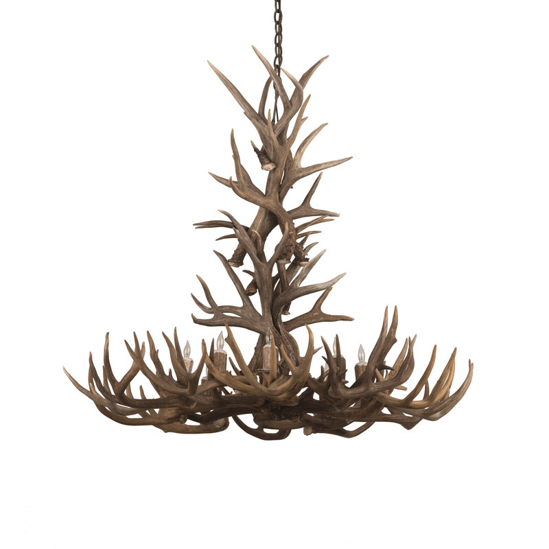 Lustre style chandelier 8 lumières panache Whitetail
