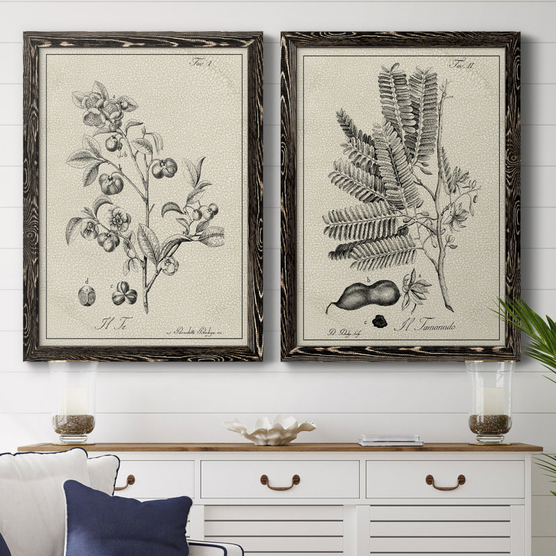 «Antique Black and White Botanical IV», ensemble de 2 reproductions d'art sur toile, Toile avec cadre noir