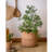 Indoor / Outdoor Pot Planter-376627250