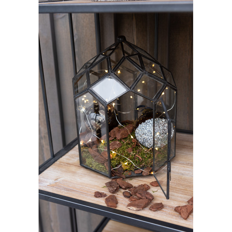 Aalexis Metal Terrarium, 38 x 25 x 25