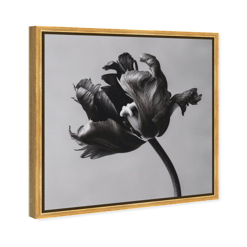 Tidal Wilt I Floral & Botanical Canvas Print by Oliver Gal, Black Frame, 12 x 12, 41"H x 41"W, Gold Floater Frame