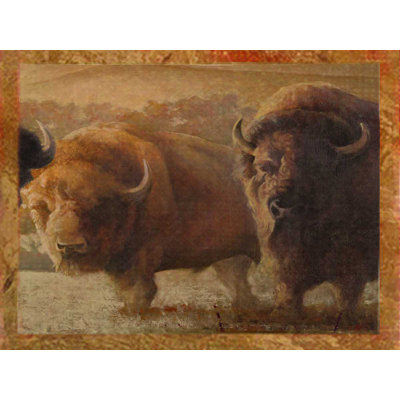 Buffalo 2 - Impression sur toile tendue