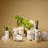 5Oz Reed Diffuser-111112908